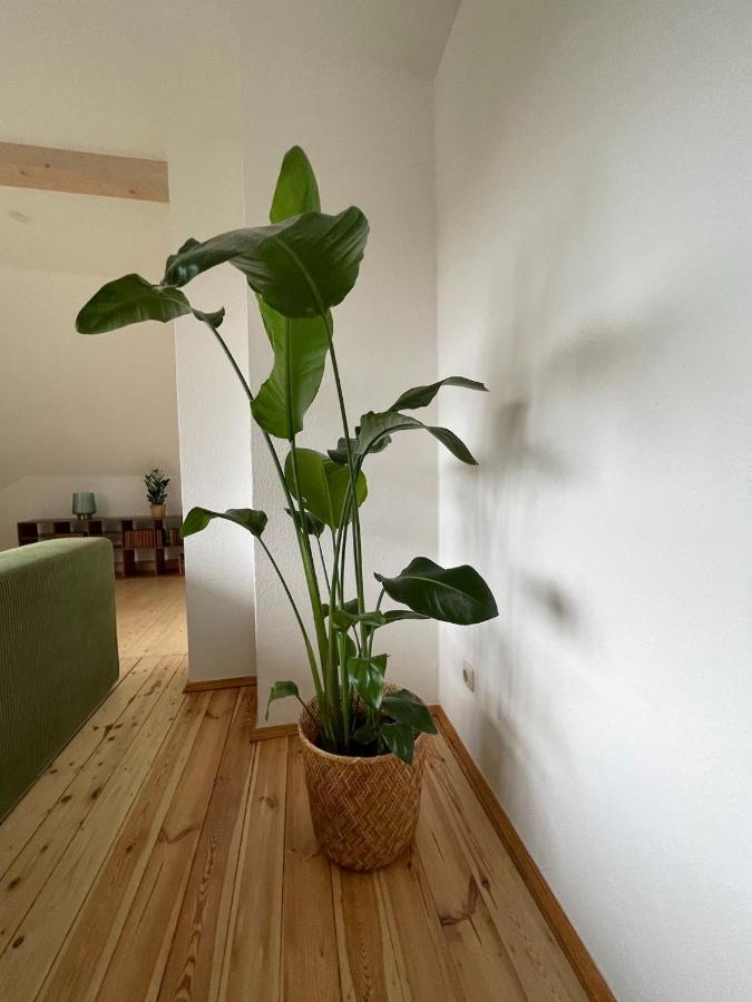Appartamento Kulturgenuss Am Goethewanderweg Weimar  Esterno foto